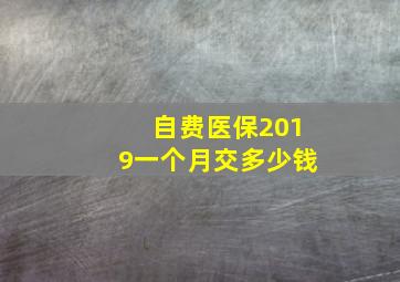 自费医保2019一个月交多少钱