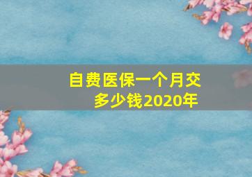 自费医保一个月交多少钱2020年