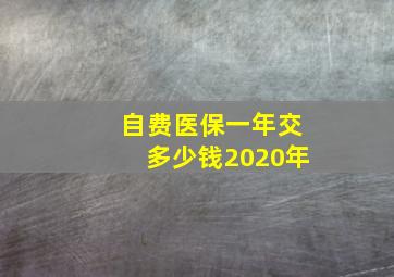 自费医保一年交多少钱2020年