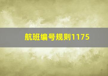 航班编号规则1175