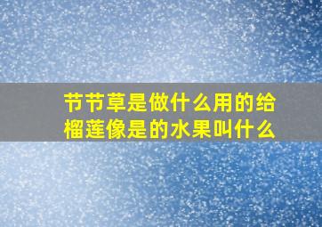 节节草是做什么用的给榴莲像是的水果叫什么