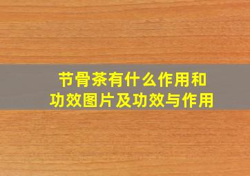 节骨茶有什么作用和功效图片及功效与作用