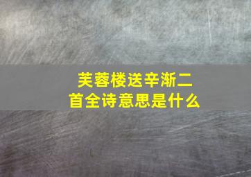 芙蓉楼送辛渐二首全诗意思是什么