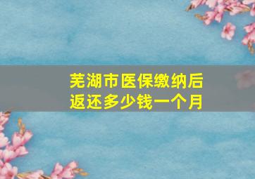 芜湖市医保缴纳后返还多少钱一个月