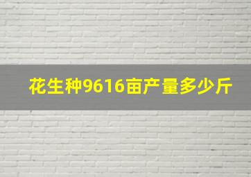 花生种9616亩产量多少斤