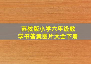 苏教版小学六年级数学书答案图片大全下册