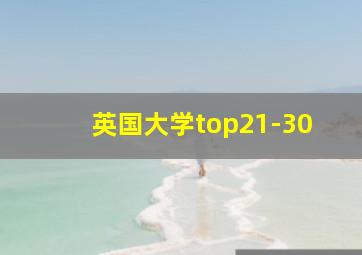 英国大学top21-30