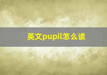 英文pupil怎么读