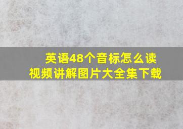 英语48个音标怎么读视频讲解图片大全集下载