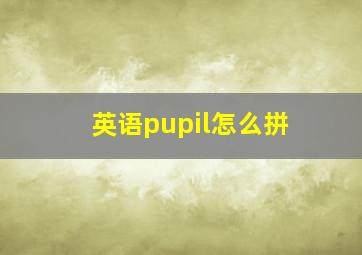 英语pupil怎么拼