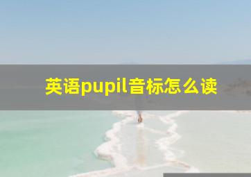 英语pupil音标怎么读