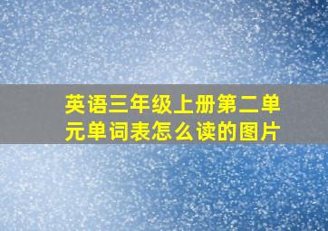 英语三年级上册第二单元单词表怎么读的图片