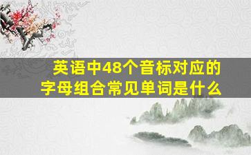 英语中48个音标对应的字母组合常见单词是什么