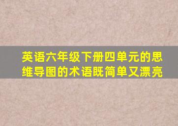 英语六年级下册四单元的思维导图的术语既简单又漂亮