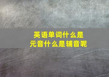 英语单词什么是元音什么是辅音呢