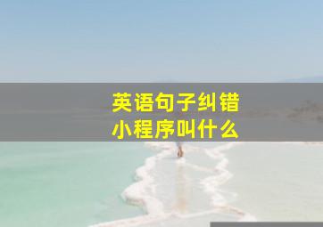 英语句子纠错小程序叫什么