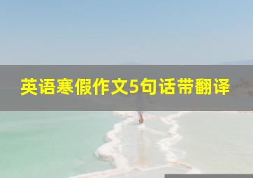 英语寒假作文5句话带翻译