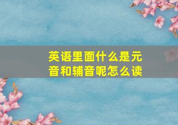 英语里面什么是元音和辅音呢怎么读