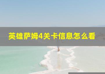 英雄萨姆4关卡信息怎么看