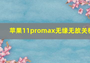 苹果11promax无缘无故关机