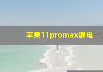 苹果11promax漏电