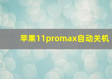 苹果11promax自动关机