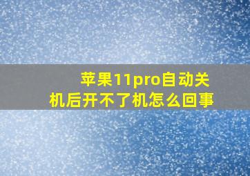 苹果11pro自动关机后开不了机怎么回事