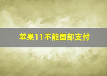 苹果11不能面部支付