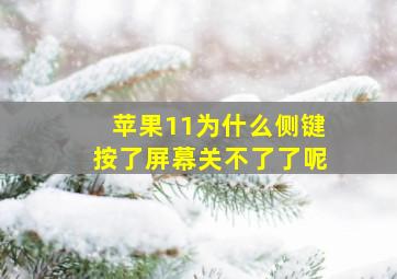 苹果11为什么侧键按了屏幕关不了了呢