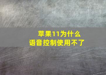 苹果11为什么语音控制使用不了