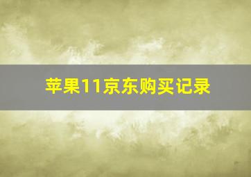 苹果11京东购买记录