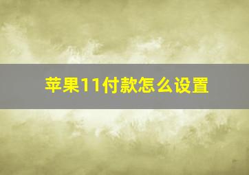 苹果11付款怎么设置