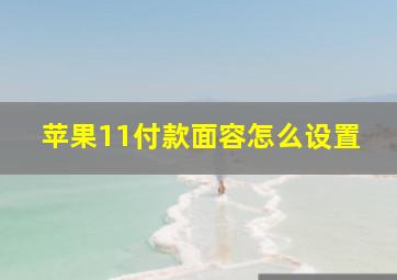 苹果11付款面容怎么设置