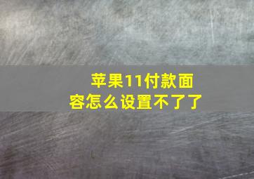 苹果11付款面容怎么设置不了了