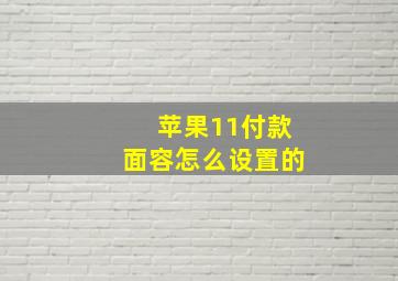 苹果11付款面容怎么设置的