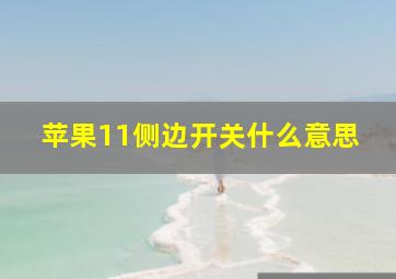 苹果11侧边开关什么意思