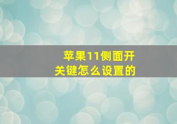 苹果11侧面开关键怎么设置的