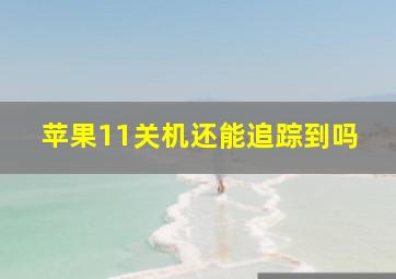 苹果11关机还能追踪到吗