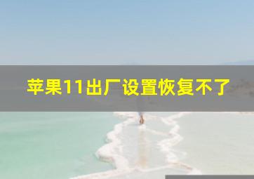 苹果11出厂设置恢复不了