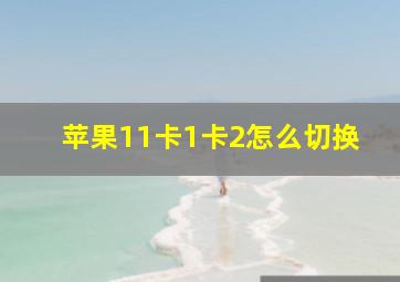 苹果11卡1卡2怎么切换