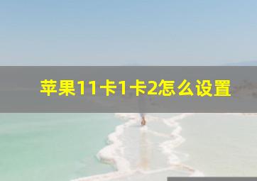 苹果11卡1卡2怎么设置