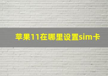 苹果11在哪里设置sim卡