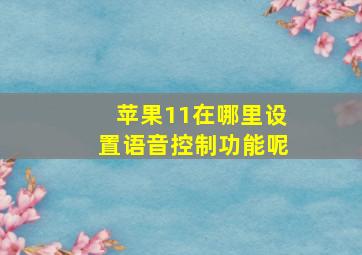 苹果11在哪里设置语音控制功能呢