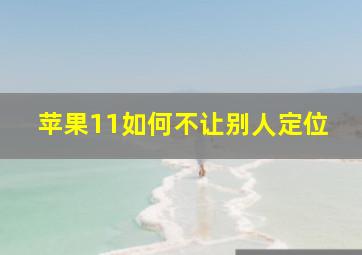 苹果11如何不让别人定位