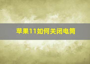 苹果11如何关闭电筒