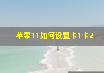 苹果11如何设置卡1卡2