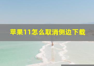 苹果11怎么取消侧边下载