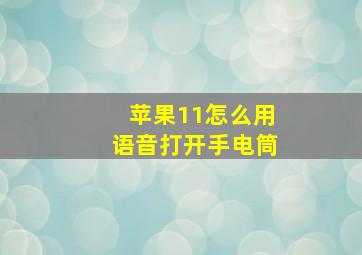 苹果11怎么用语音打开手电筒