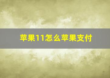 苹果11怎么苹果支付