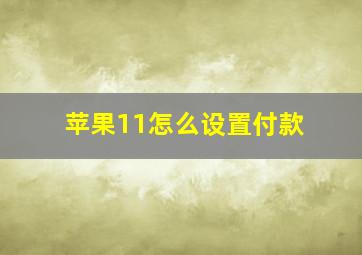 苹果11怎么设置付款